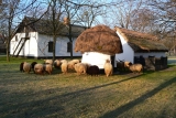 szentesi